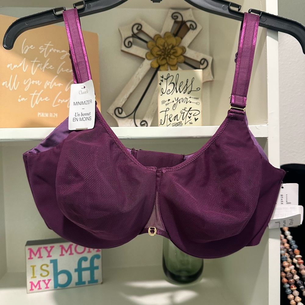 NWT CHANTELLE Magnifique MINIMIZER Sexy Seamless Bra 34DDD. Back Closure